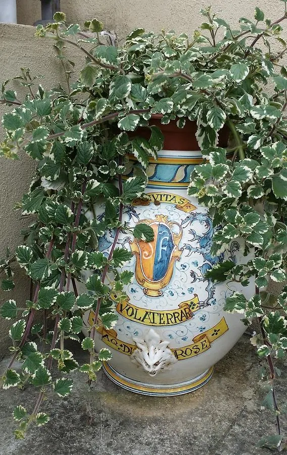B&B Le Torri Di Firenze Φιέζολε 0*,